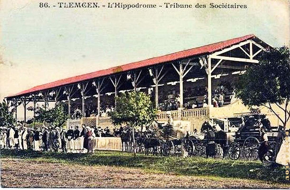 Tlemcen- Ville nouvelle  199.jpg